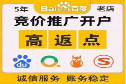 行业案例分析：sem账户托管的成功与挑战